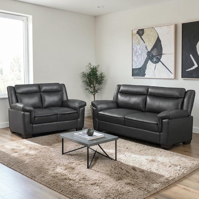 2 Piece Living Room Sofa Set with Faux Leather Upholstery